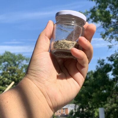 a hand holds a glass jar filled with herbs