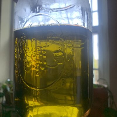 IMG_9754 green oil in a clear glass jar backlit against a window