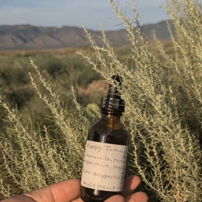 Azul holds a bottle by a sagebrush bush, mountains can be seen in the distance.