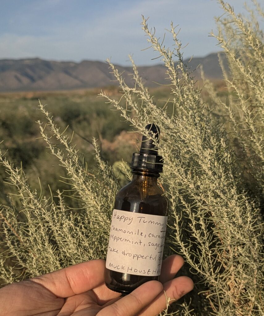 Azul holds a bottle by a sagebrush bush, mountains can be seen in the distance.