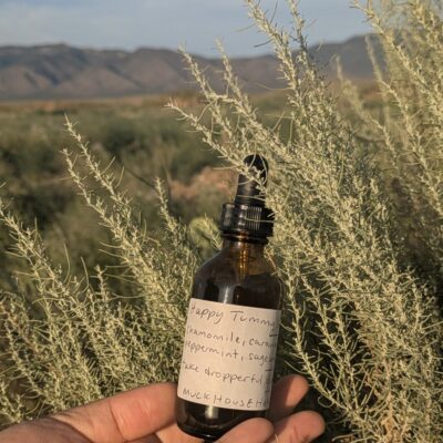 Azul holds a bottle by a sagebrush bush, mountains can be seen in the distance.