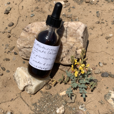 A bottle of tincture lays against rocks and next to a small plant with yellow flowers.